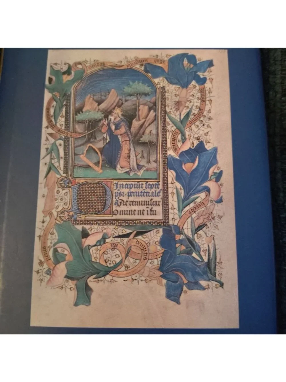 A Treasury of Psalms Hardcover Inspirational Christian Gift Book Illustrated